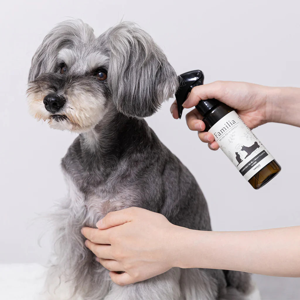 2025年新作『HARIO』ファミリア ボタニカルスプレー 150mL